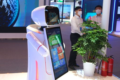 北京国际排名重返前五，为何说不一般